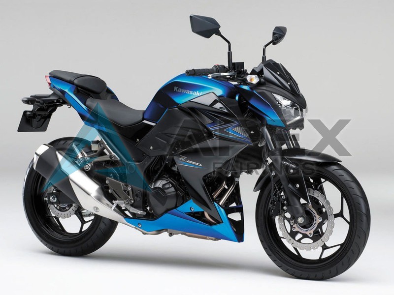 Z250 / Z300 fairings